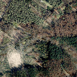 Satellite imagery of Rauschenberg, DE