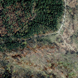 Satellite imagery of Rauschenberg, DE