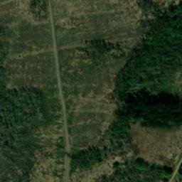 Satellite imagery of Wellbornskopf, DE