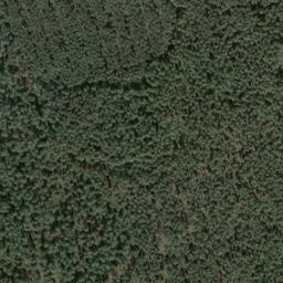Satellite imagery of Schneideberg, DE