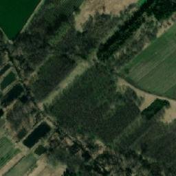 Satelita