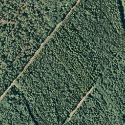 Satellite imagery of Hasenberg, DE