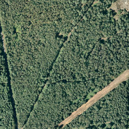 Satellite imagery of Hasenberg, DE