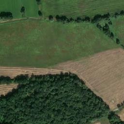 Satellite imagery of Rydzyna - Zamek na wyspie., PL
