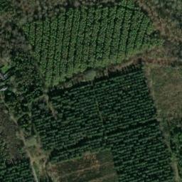 Satellite imagery of Minwear Ringwork, GB