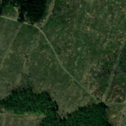 Satellite imagery of Wellbornskopf, DE