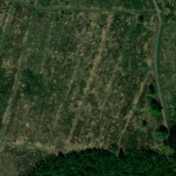 Satellite imagery of Wellbornskopf, DE