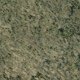 Satellite imagery of Stafne Ridge, CA
