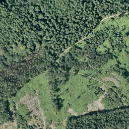 Satellite imagery of Hasenberg, DE