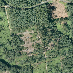 Satellite imagery of Hasenberg, DE