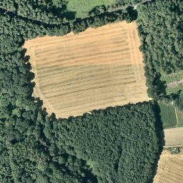 Satellite imagery of Hasenberg, DE