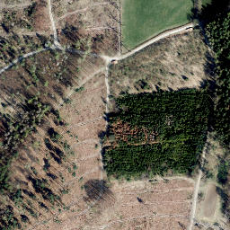 Satellite imagery of Steinberg, DE