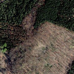 Satellite imagery of Steinberg, DE