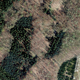 Satellite imagery of Steinberg, DE
