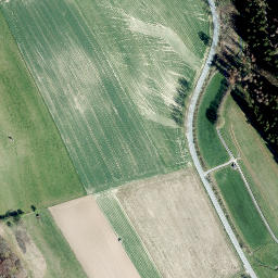 Satellite imagery of Steinknipel, DE