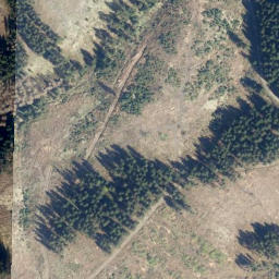 Satellite imagery of Großer Kautzkopf, DE