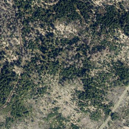 Satellite imagery of Wolfswarte, DE