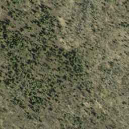 Satellite imagery of Stafne Ridge, CA
