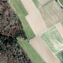 Satellite imagery of Steinknipel, DE