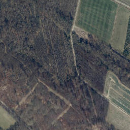 Satellite imagery of Drogenberg, DE