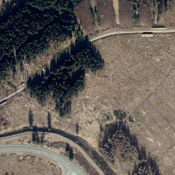 Satellite imagery of Großer Kautzkopf, DE