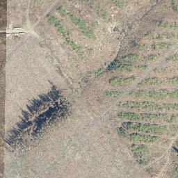 Satellite imagery of Großer Kautzkopf, DE