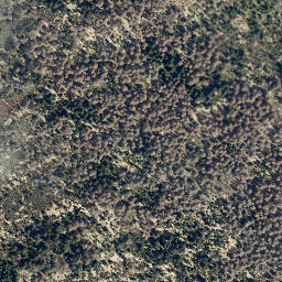 Satellite imagery of Wolfswarte, DE