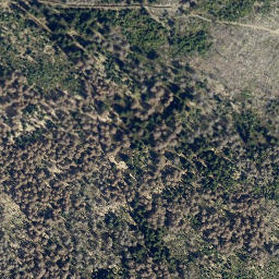 Satellite imagery of Wolfswarte, DE