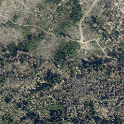 Satellite imagery of Wolfswarte, DE