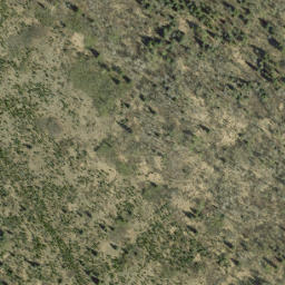 Satellite imagery of Stafne Ridge, CA