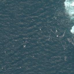 Satellite imagery of Little Skellig, IE