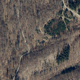 Satellite imagery of Steintaler Berg, DE