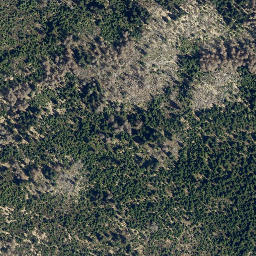 Satellite imagery of Wolfswarte, DE