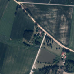 Satelita