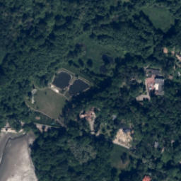 Satelita