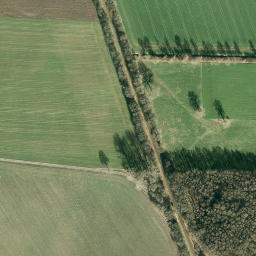 Satellite imagery of Grenzstein BSV Erle, NL