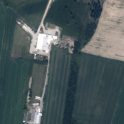 Satelita