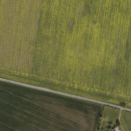 Satellite imagery of Mühlberg, DE