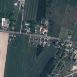 Satelita