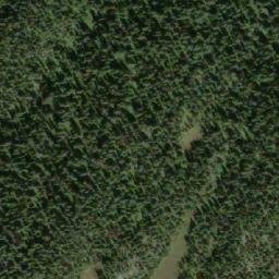 Satellite imagery of Lizard Head Mountain, CA