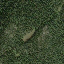 Satellite imagery of Lizard Head Mountain, CA