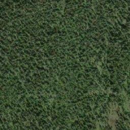 Satellite imagery of Lizard Head Mountain, CA