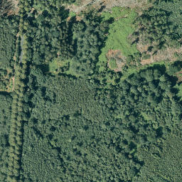 Satellite imagery of Fernmeldeturm Haltern, DE