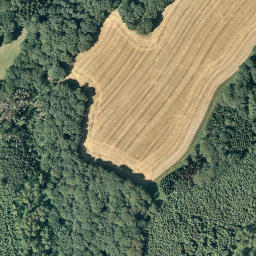 Satellite imagery of Fernmeldeturm Haltern, DE