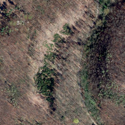 Satellite imagery of Schmandberg, DE