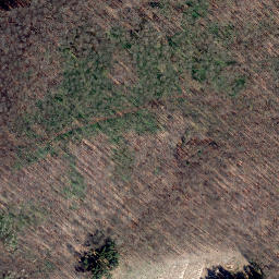 Satellite imagery of Schmandberg, DE