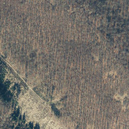 Satellite imagery of Wolfsberg, DE