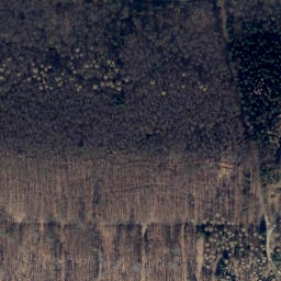 Satellite imagery of Buchenberg, DE