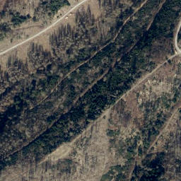 Satellite imagery of Münsterkopf, DE