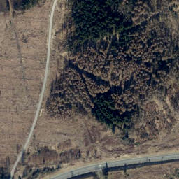 Satellite imagery of Münsterkopf, DE